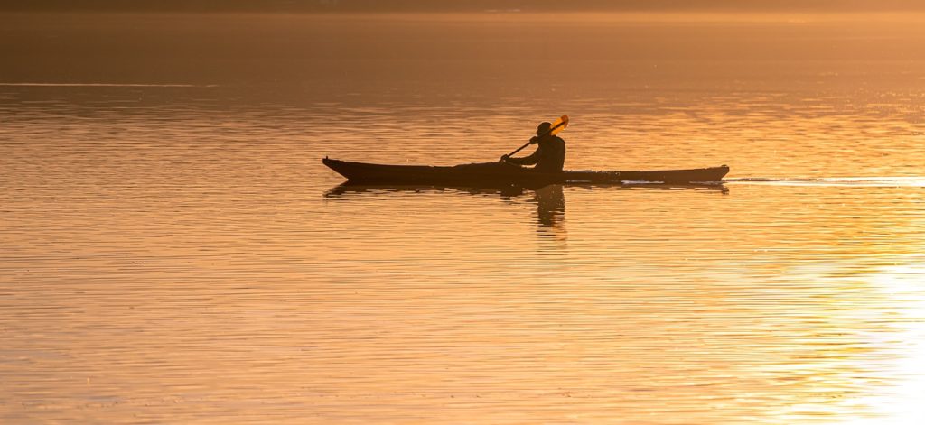 boat, canoe, man-5838586.jpg