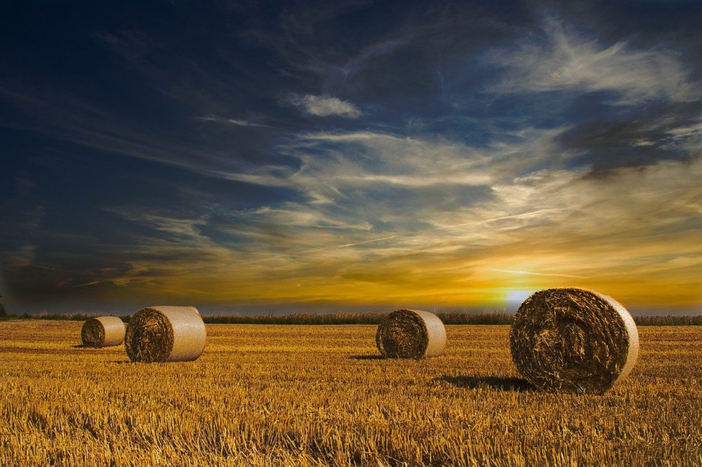 hayfield, farmland, sunset-6486802.jpg